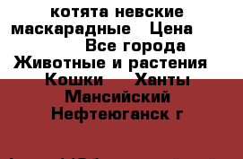 котята невские маскарадные › Цена ­ 18 000 - Все города Животные и растения » Кошки   . Ханты-Мансийский,Нефтеюганск г.